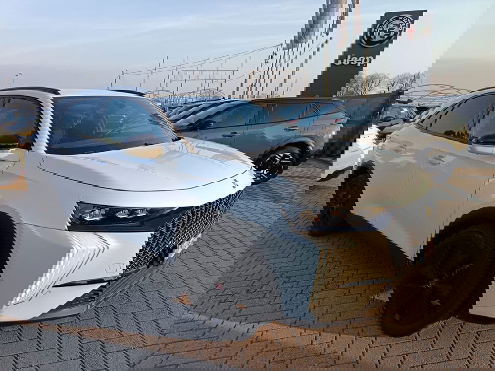 Ds DS 7 usata a Alessandria (3)