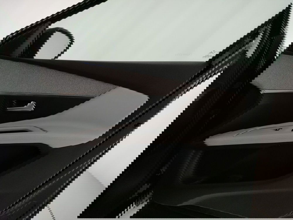 Peugeot 3008 usata a Caserta (19)