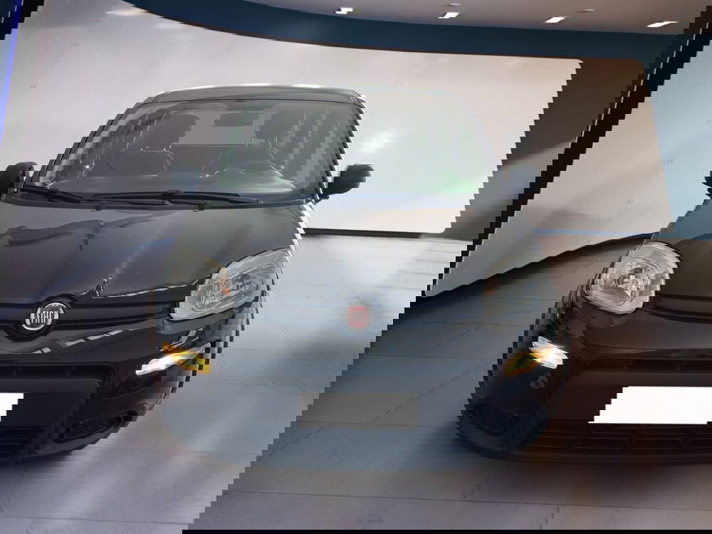 Fiat Panda usata a Torino