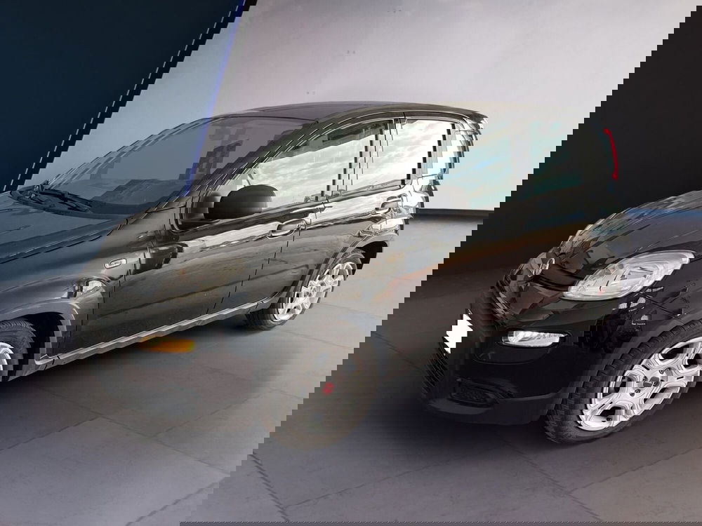 Fiat Panda usata a Torino (2)