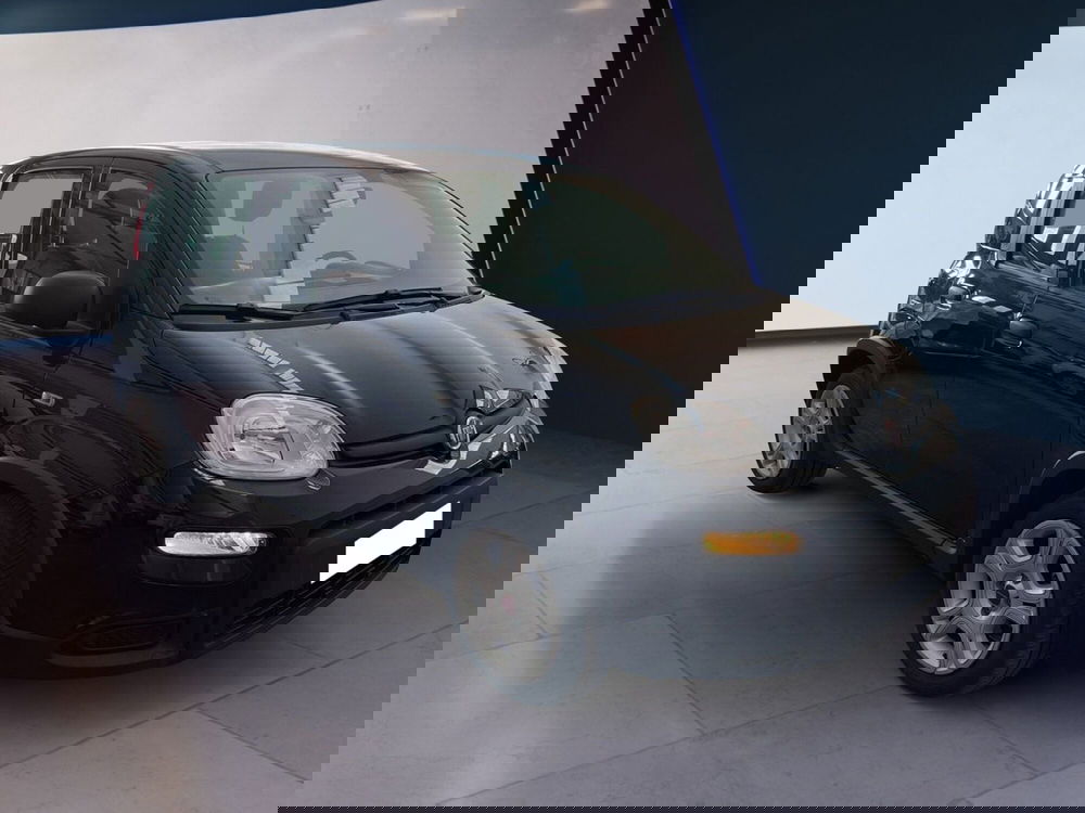 Fiat Panda usata a Torino (3)