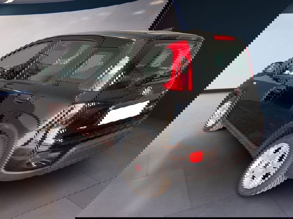 Fiat Panda usata a Torino (6)