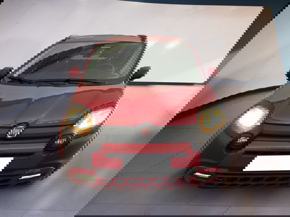 Fiat Panda Cross usata a Torino