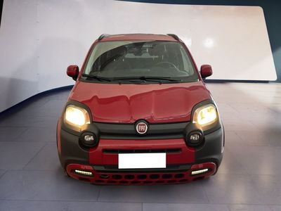 Fiat Panda Cross 1.0 firefly hybrid Cross s&amp;s 70cv 5p.ti del 2023 usata a Torino