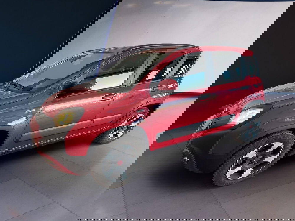 Fiat Panda Cross usata a Torino (2)