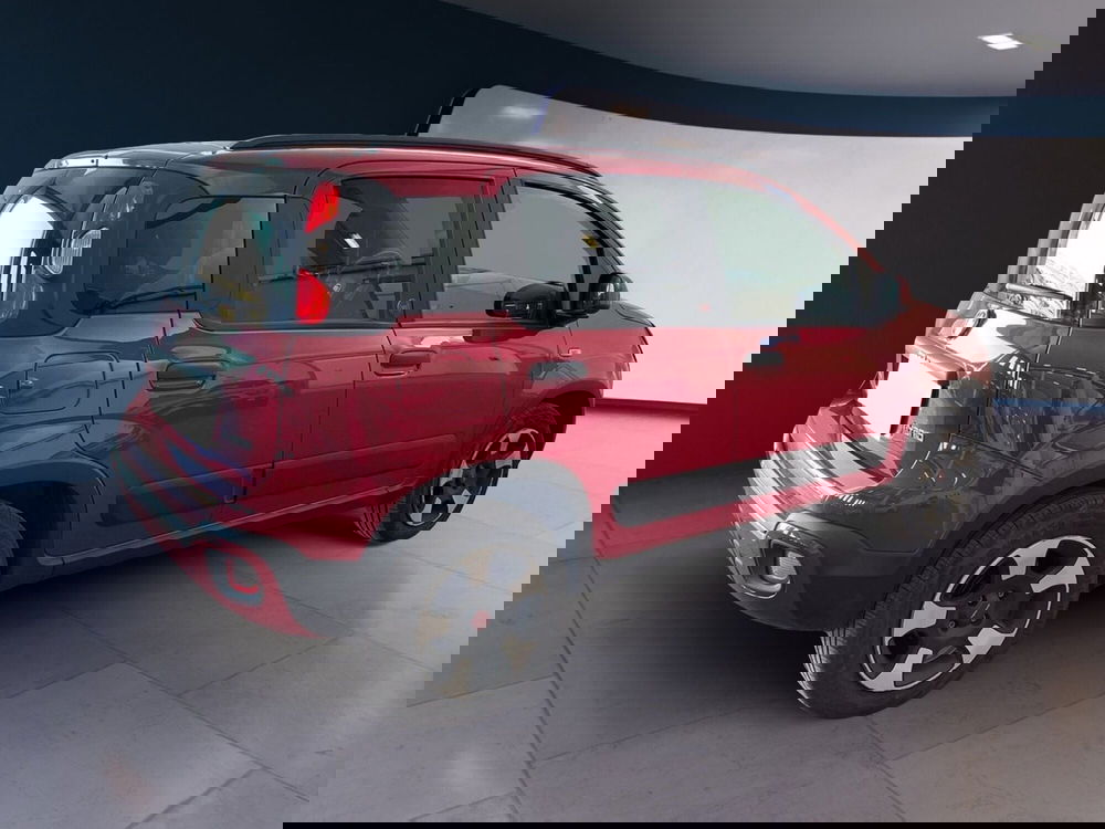 Fiat Panda Cross usata a Torino (4)