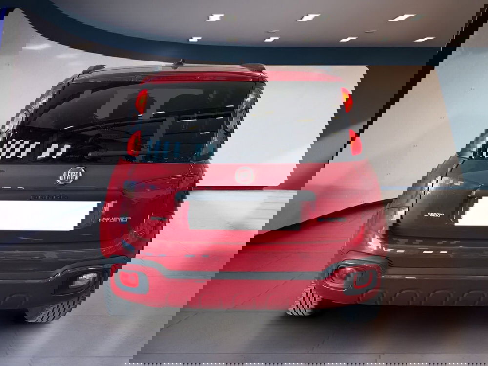 Fiat Panda Cross usata a Torino (5)