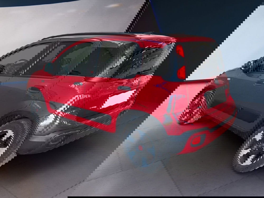 Fiat Panda Cross usata a Torino (6)