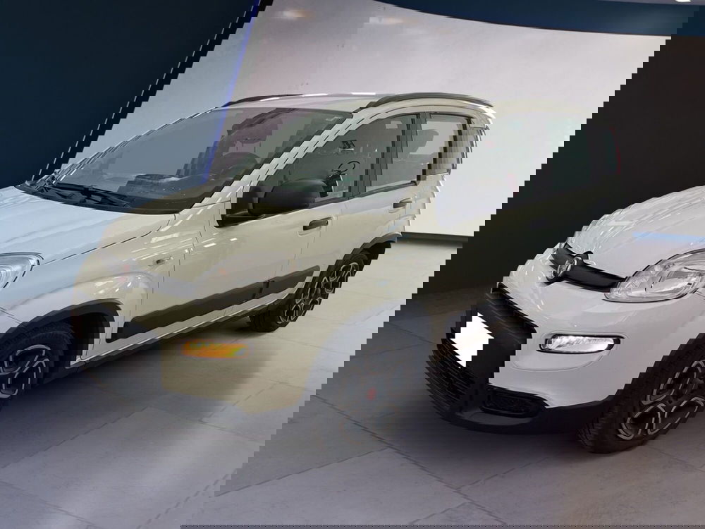 Fiat Panda usata a Torino (2)