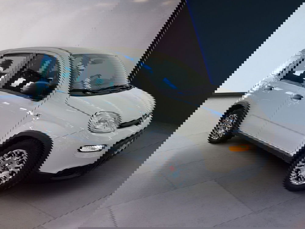 Fiat Panda usata a Torino (3)