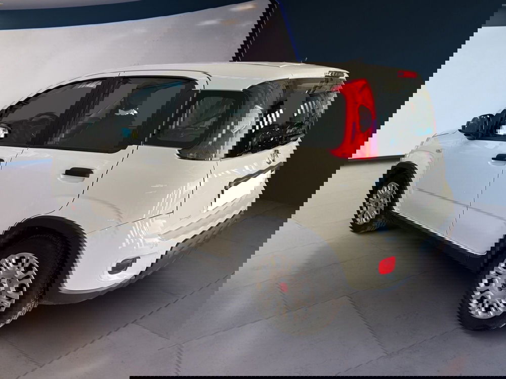 Fiat Panda usata a Torino (6)