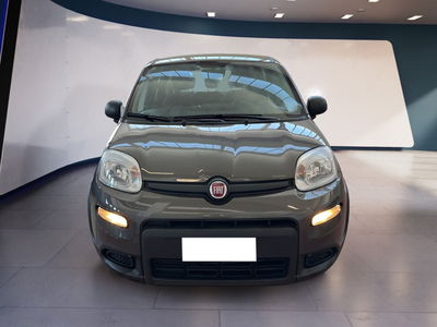 Fiat Panda 1.0 firefly hybrid s&amp;s 70cv 5p.ti del 2023 usata a Torino