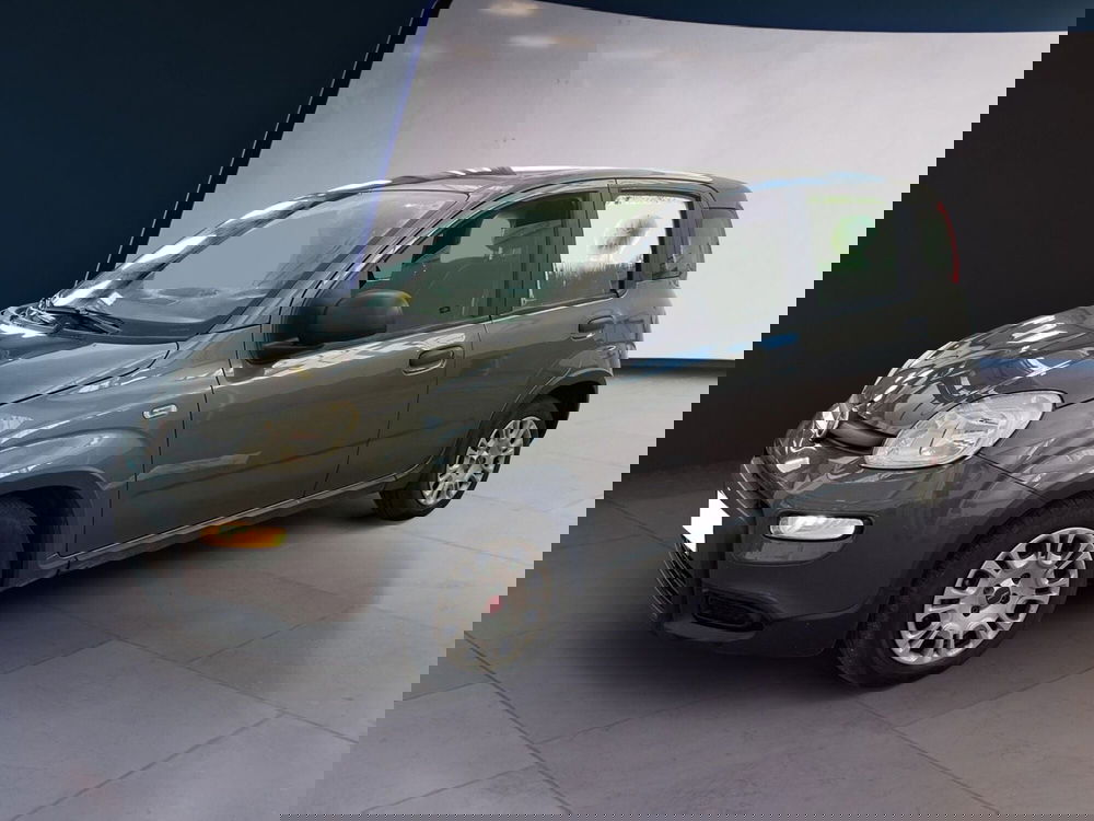 Fiat Panda usata a Torino (2)