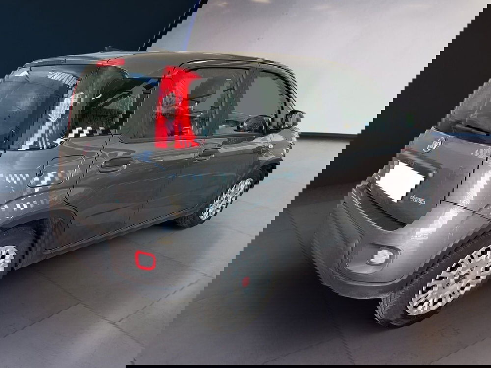 Fiat Panda usata a Torino (4)