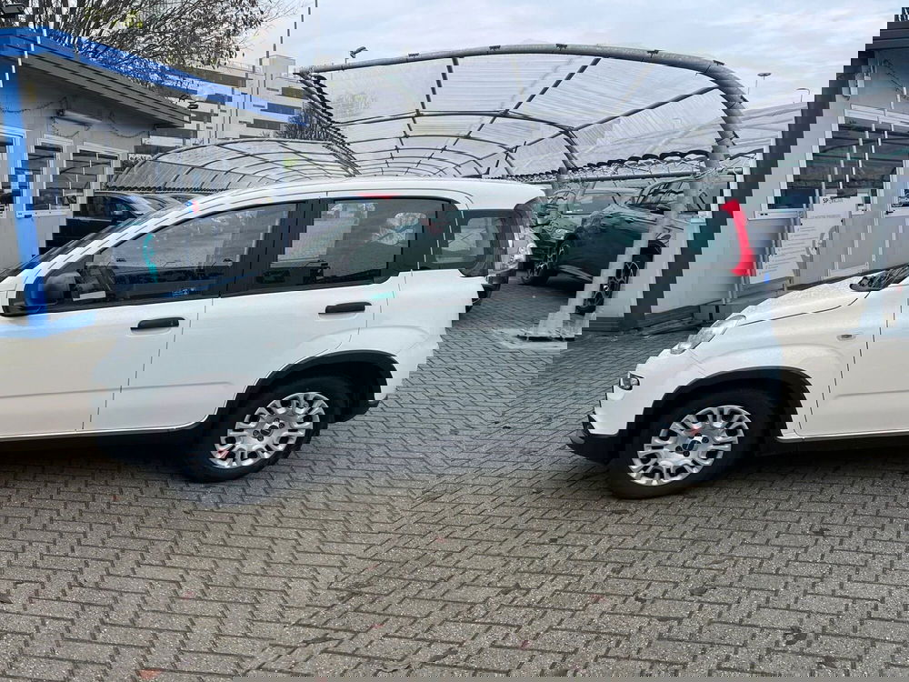 Fiat Panda Cross usata a Milano (4)