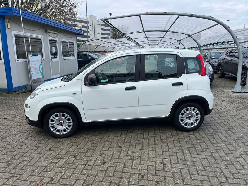 Fiat Panda Cross usata a Milano (4)