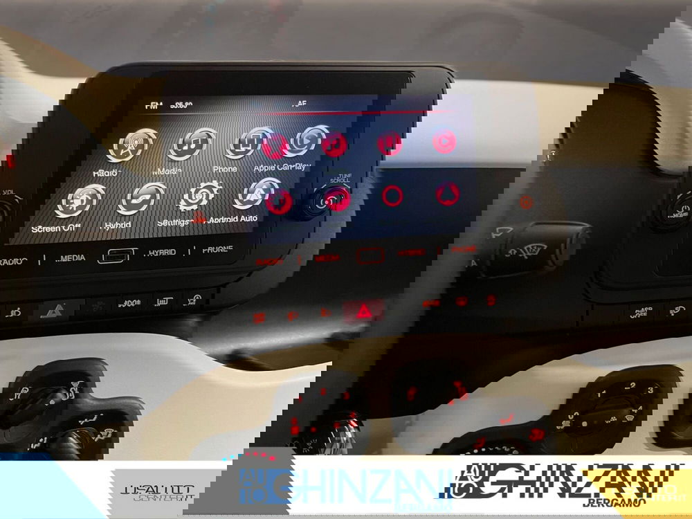 Fiat Panda Cross usata a Bergamo (9)