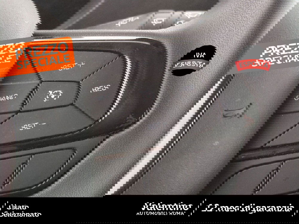 Fiat Panda Cross usata a Roma (15)