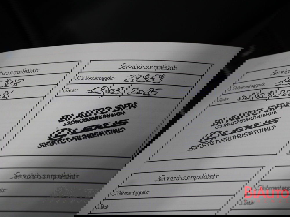 Lexus UX usata a Firenze (19)