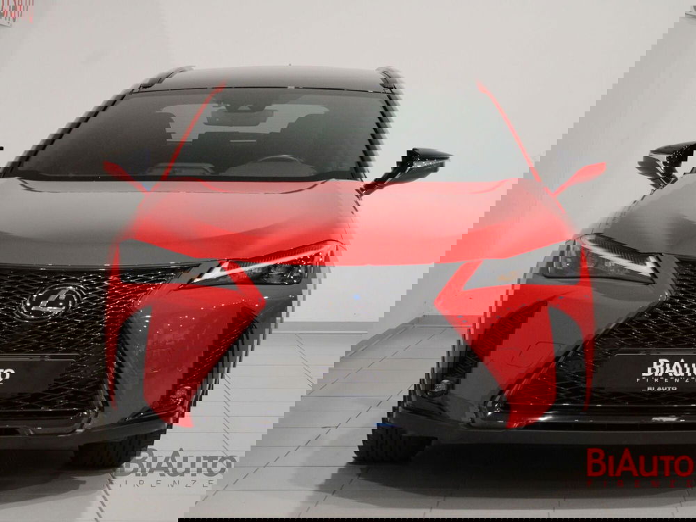 Lexus UX usata a Firenze (4)
