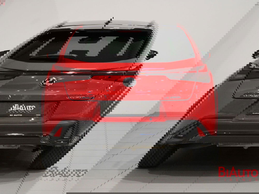 Lexus UX usata a Firenze (5)