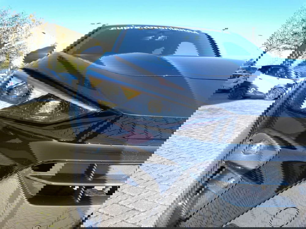 Cupra Terramar usata a Siena (18)