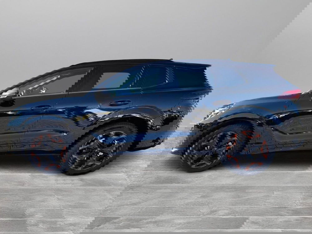 Cupra Terramar usata a Siena (8)