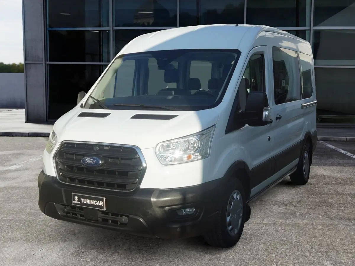 Ford Transit Furgone usata a Torino (3)