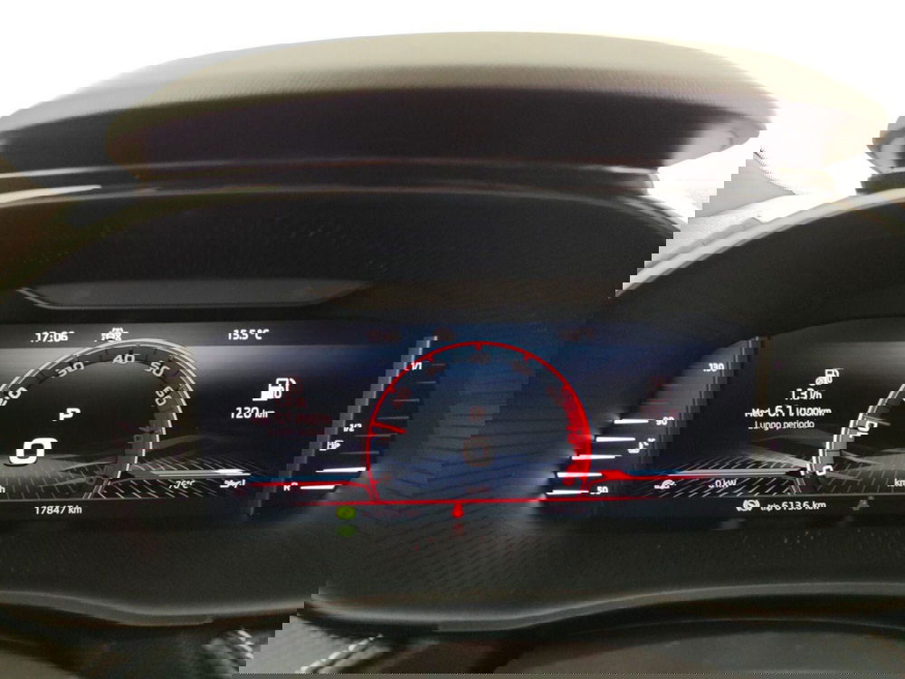 Skoda Fabia usata a Massa-Carrara (15)