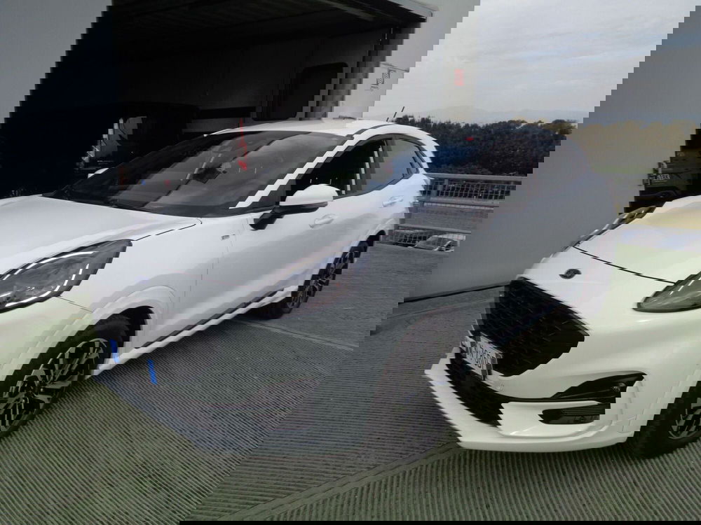 Ford Puma usata a Treviso