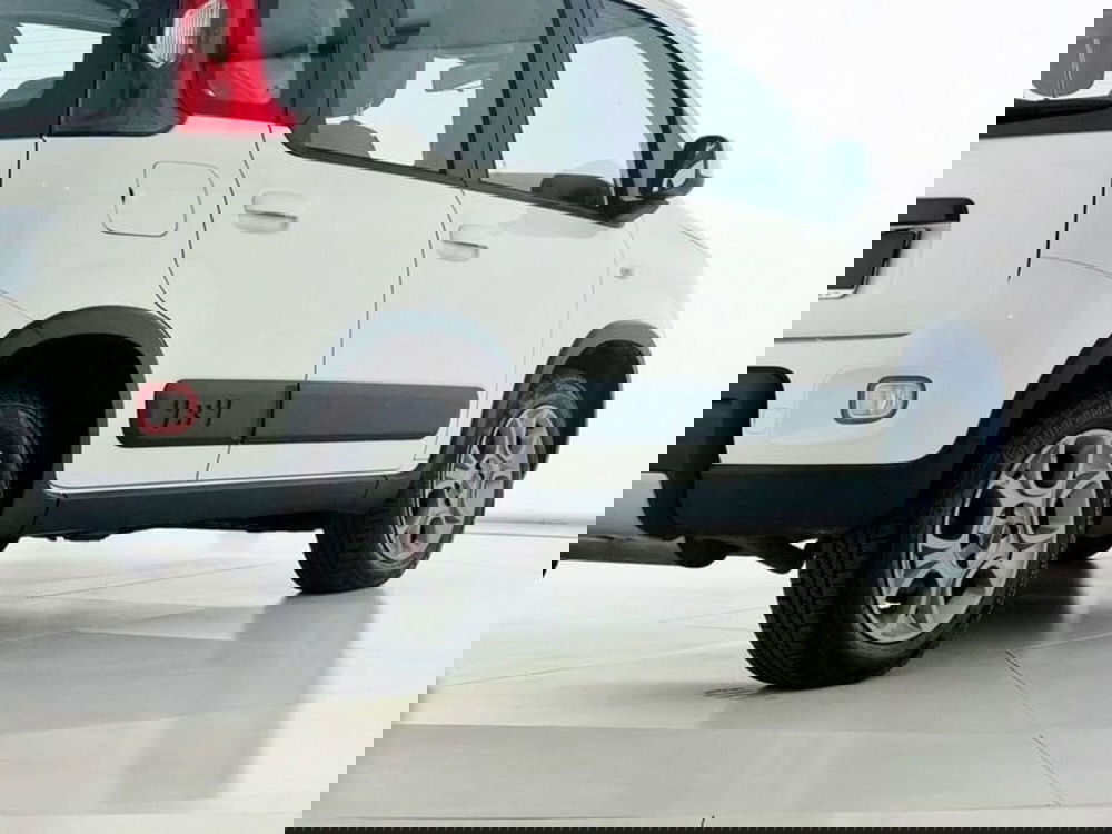 Fiat Panda usata a Perugia (2)