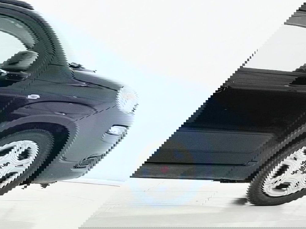 Fiat Panda usata a Perugia (5)