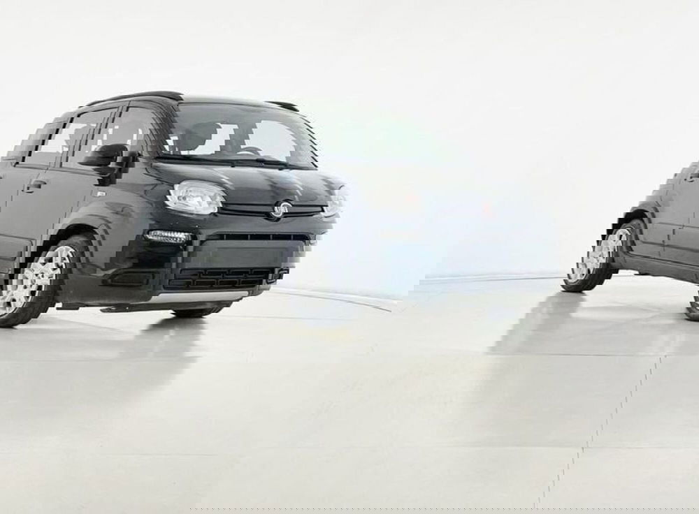 Fiat Panda usata a Perugia (7)