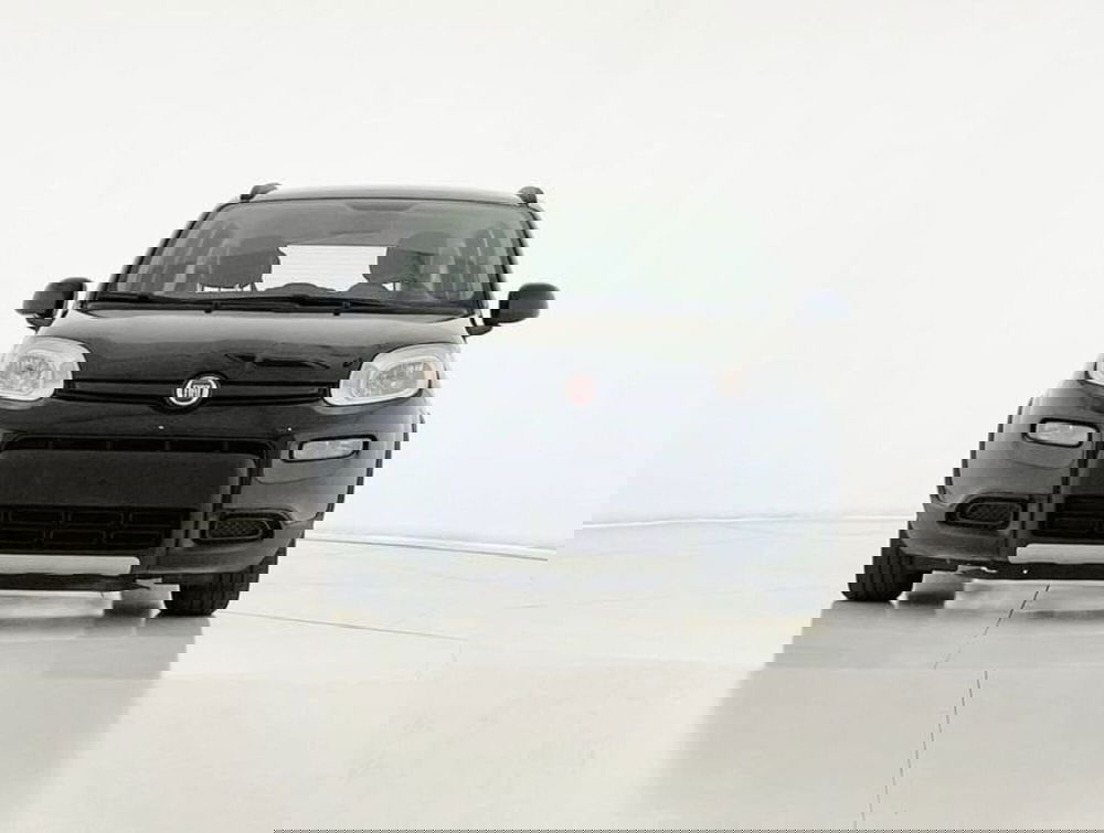 Fiat Panda usata a Perugia (8)