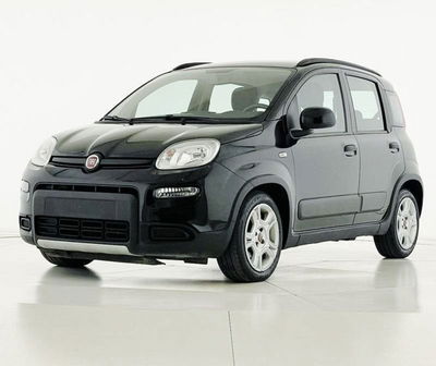 Fiat Panda 1.0 FireFly S&amp;S Hybrid City Cross del 2023 usata a Bastia Umbra