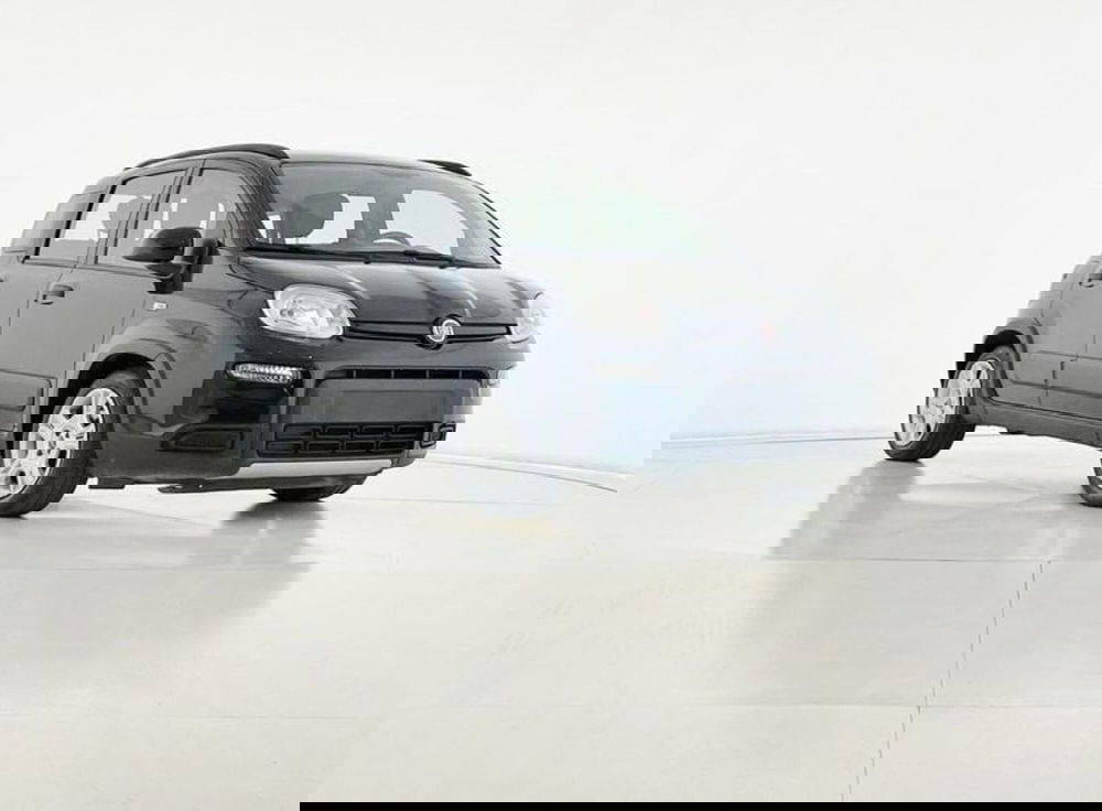 Fiat Panda usata a Perugia (7)