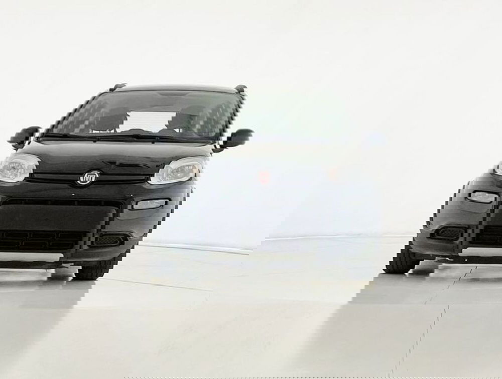 Fiat Panda usata a Perugia (8)