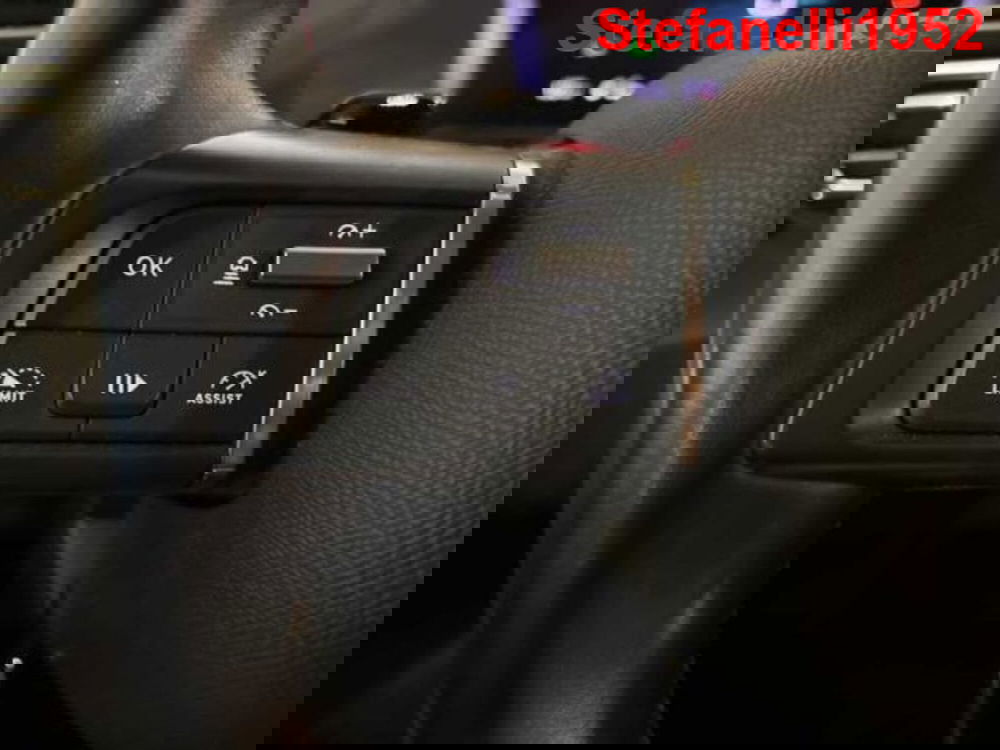 Citroen C4 usata a Bologna (20)