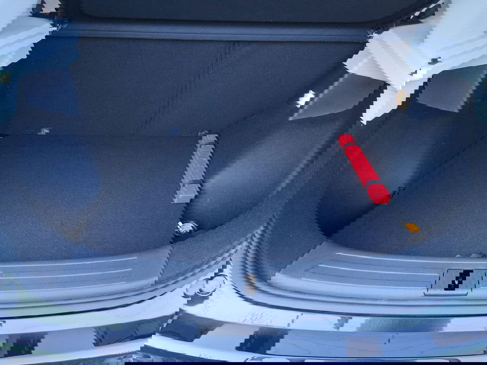 Mg ZS usata a Monza e Brianza (12)