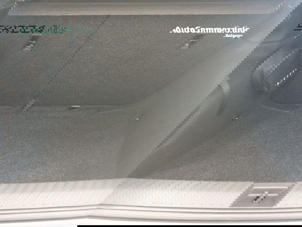 Skoda Kamiq usata a Bologna (12)