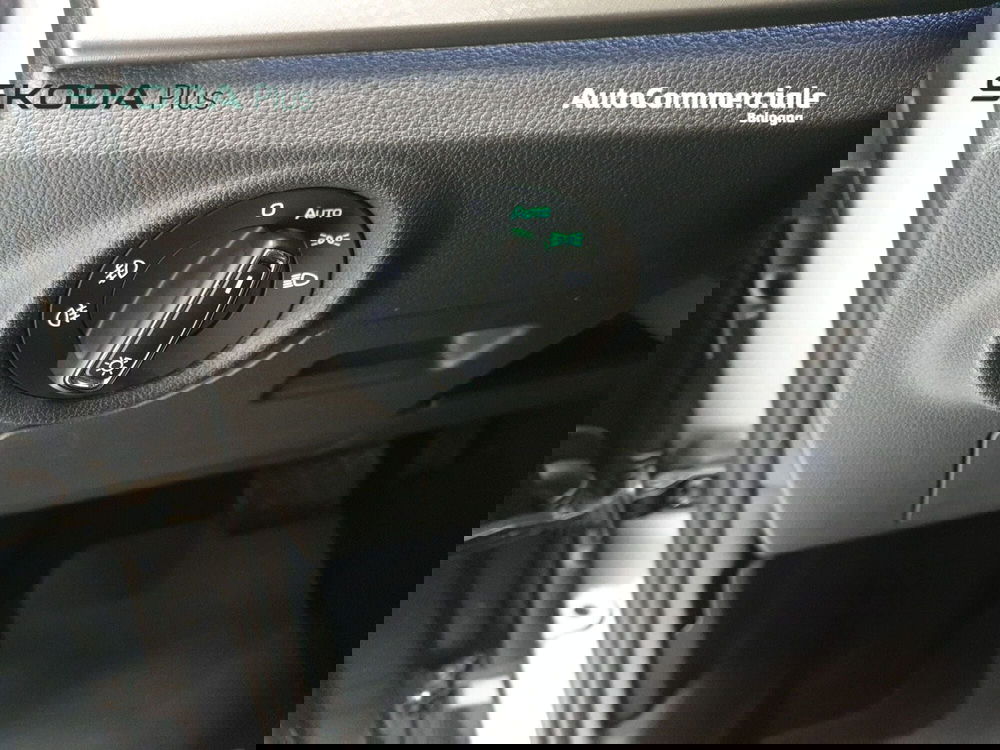 Skoda Kamiq usata a Bologna (18)