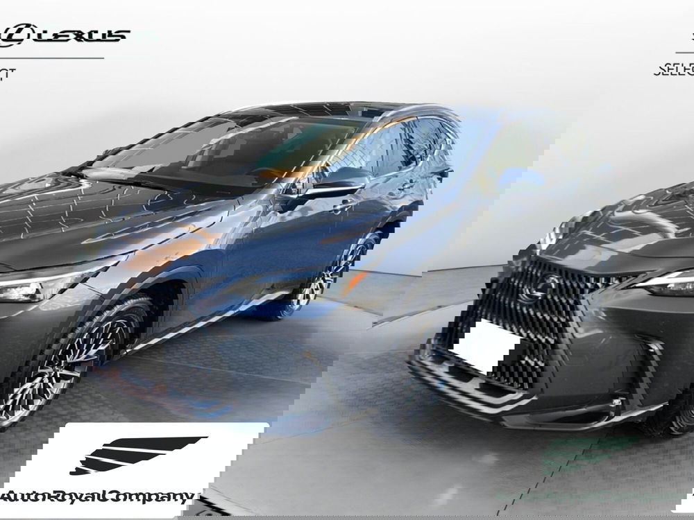 Lexus NX usata a Roma