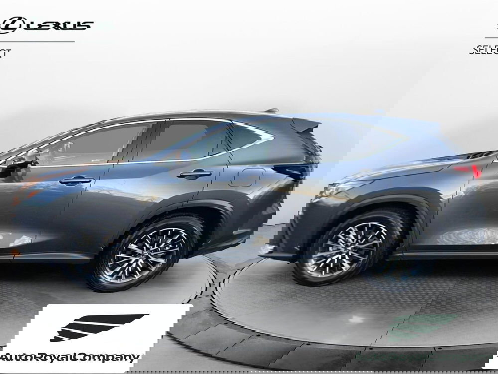 Lexus NX usata a Roma (3)