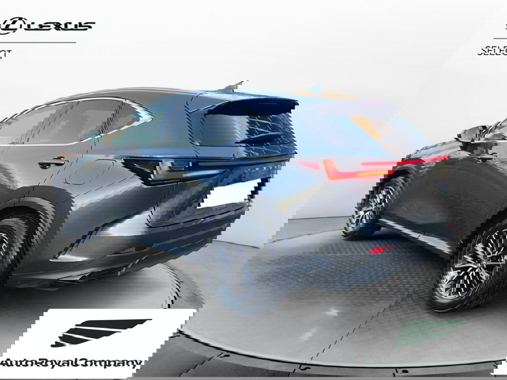 Lexus NX usata a Roma (4)