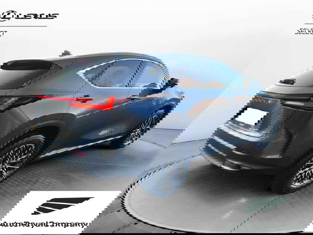 Lexus NX usata a Roma (6)