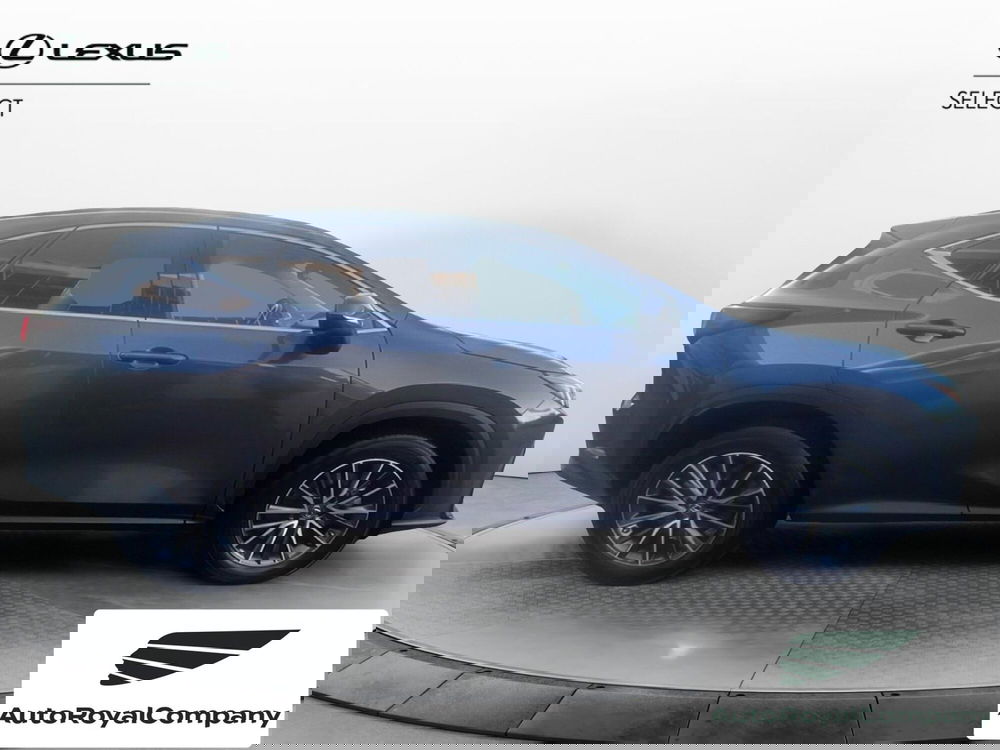 Lexus NX usata a Roma (7)