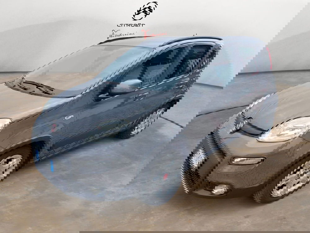 Fiat Panda usata a Pavia