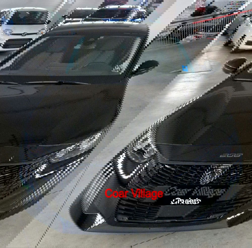 Peugeot 208 usata a Terni (2)