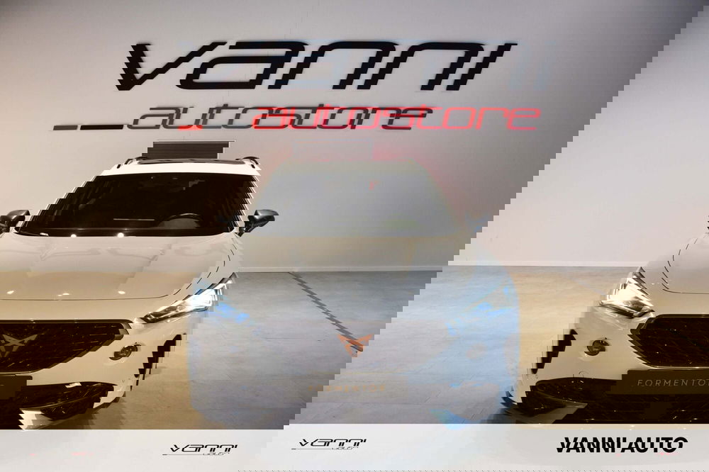 Cupra Formentor usata a Verona (5)