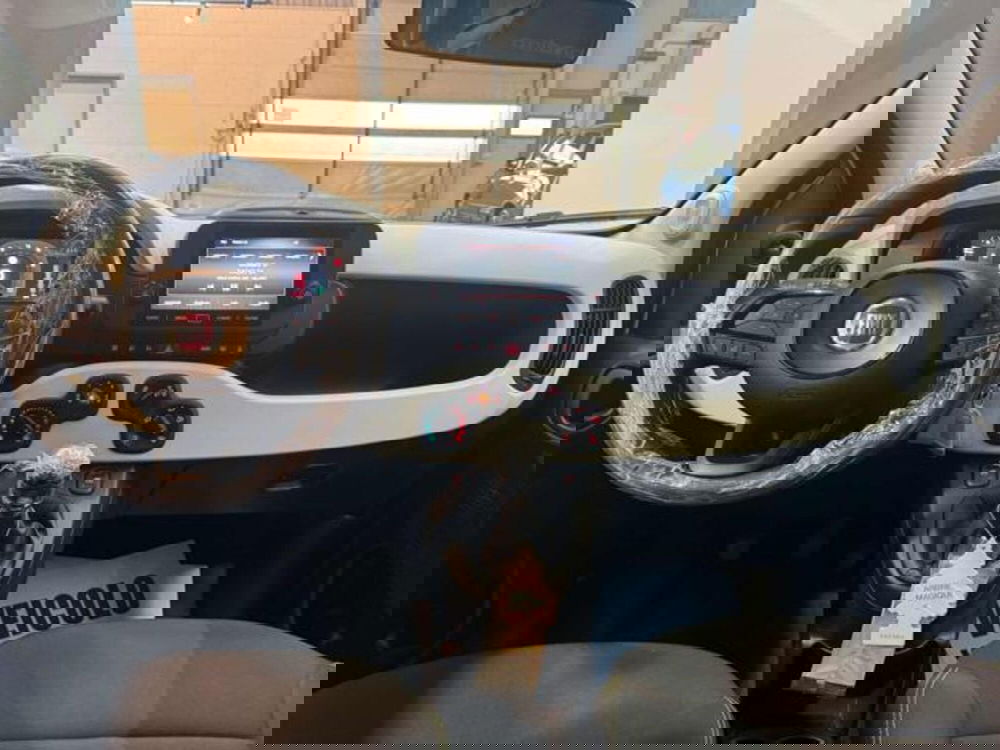 Fiat Panda Cross usata a Vercelli (11)